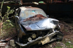 charles_ulmann_epaviste_rapide_lyon_region_debarass_fer_metaux_casse_abandon1